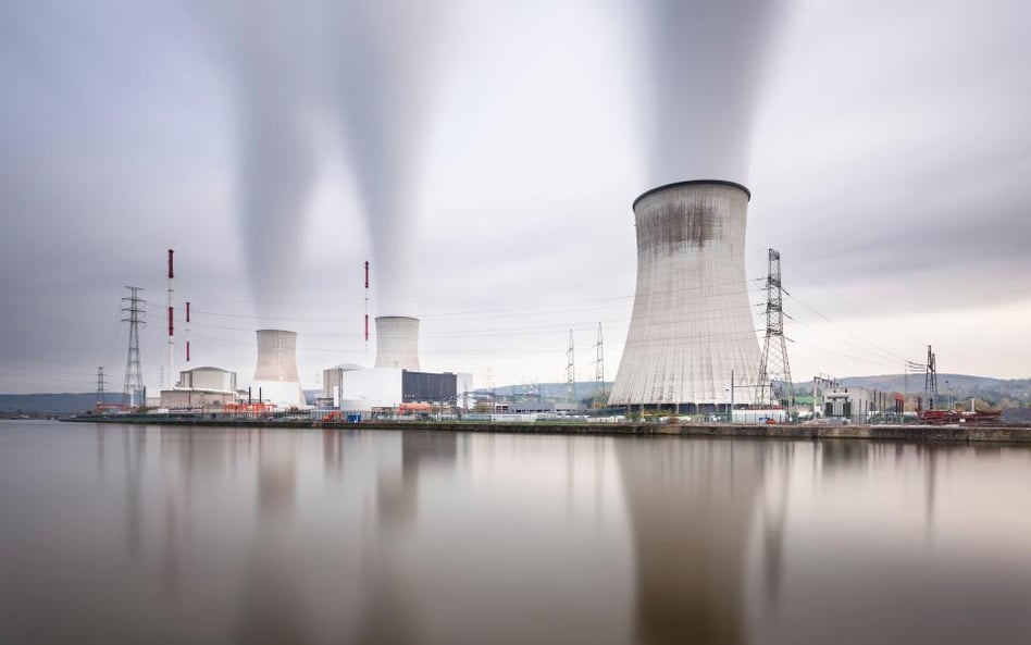 Niemcy: protest przeciwko belgijskiej atomówce