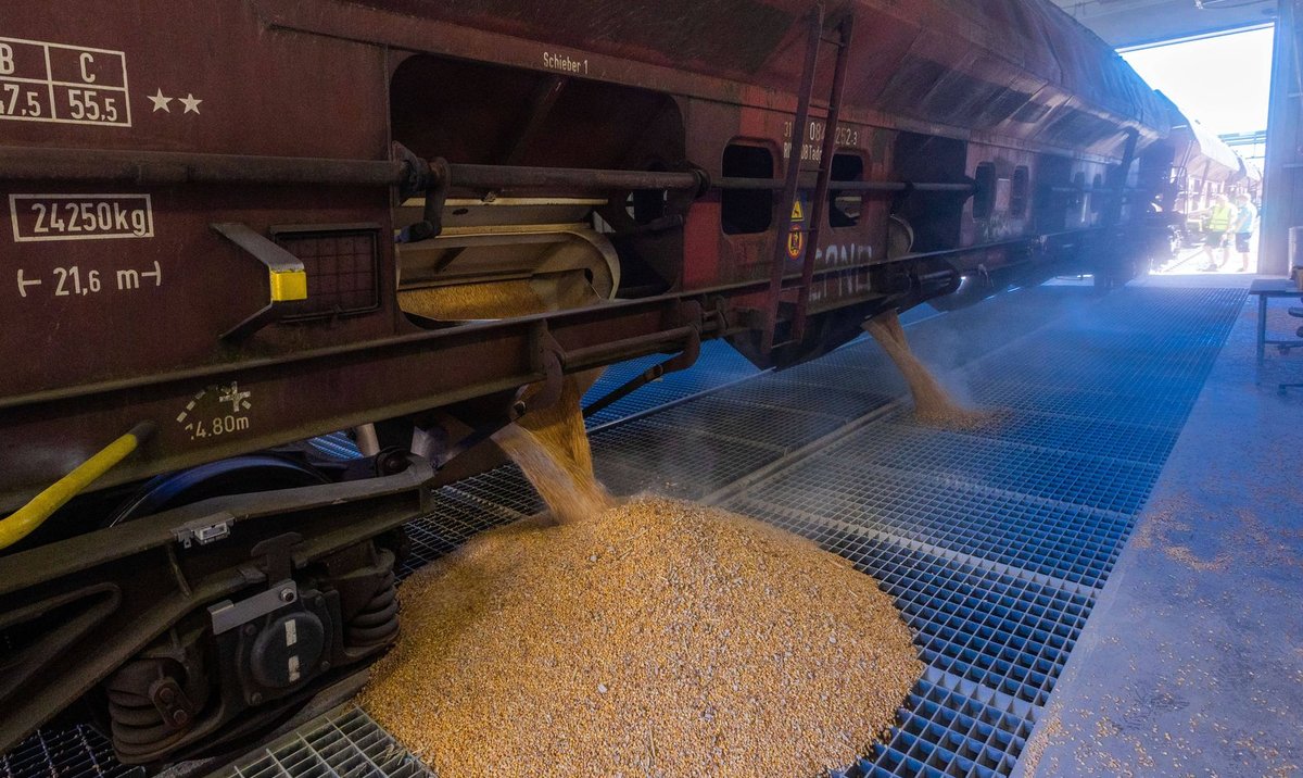 Pierwszy pociąg z ukraińską kukurydzą dotarł do Rostocku rp.pl