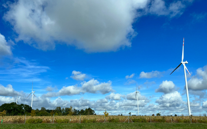 Kolejny rekord w produkcji energii z wiatru w Polsce