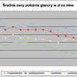 Zimny luty odstraszył inwestorów