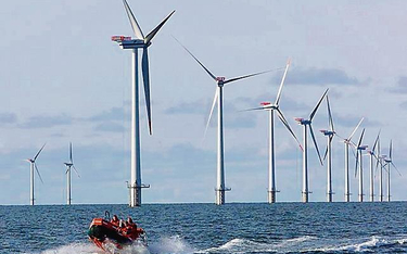 Dania od lat stawia na energię wiatrową