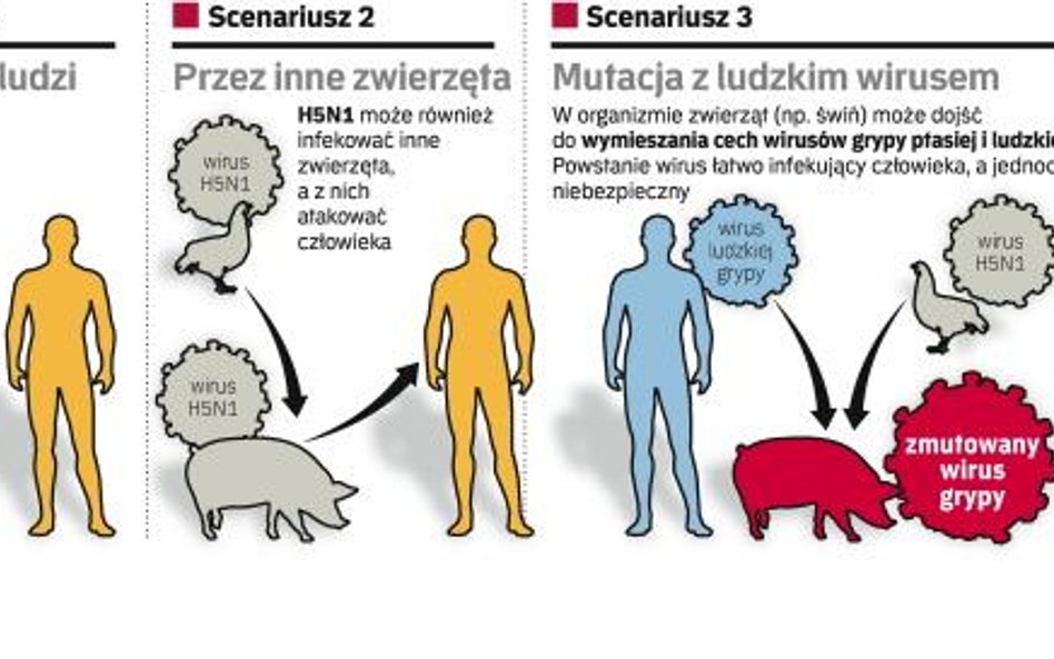 Czy ludziom grozi epidemia