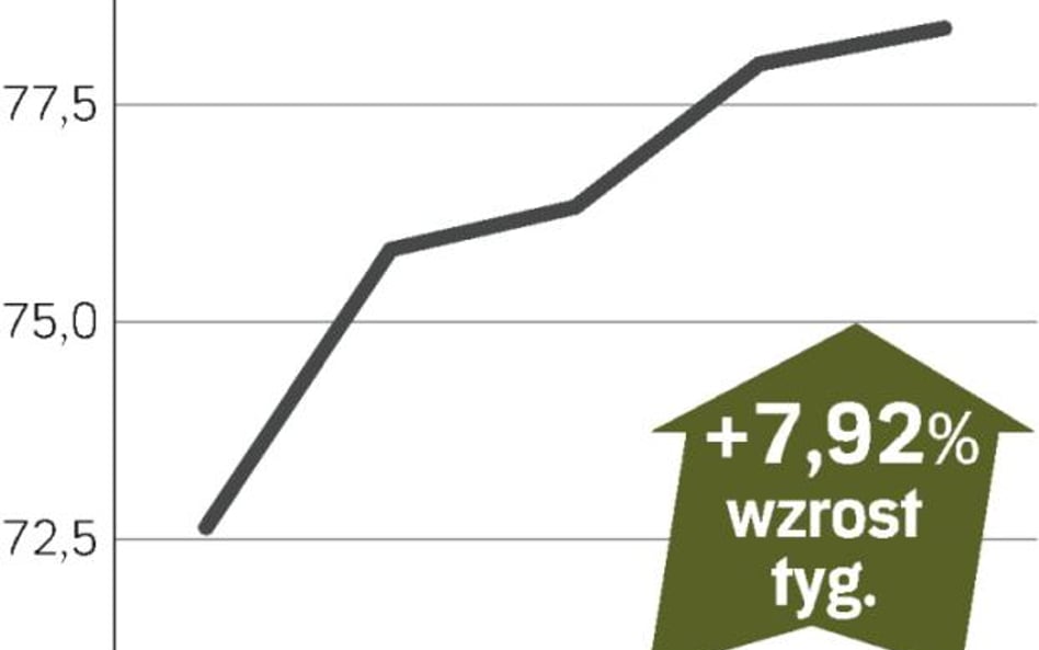 Taniej, bo nie ma Azjatów