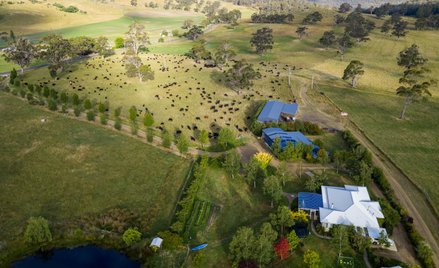 CPC użytkuje w Australii ponad 6 mln hektarów gruntów rolnych i posiada ponad 400 tys. sztuk bydła