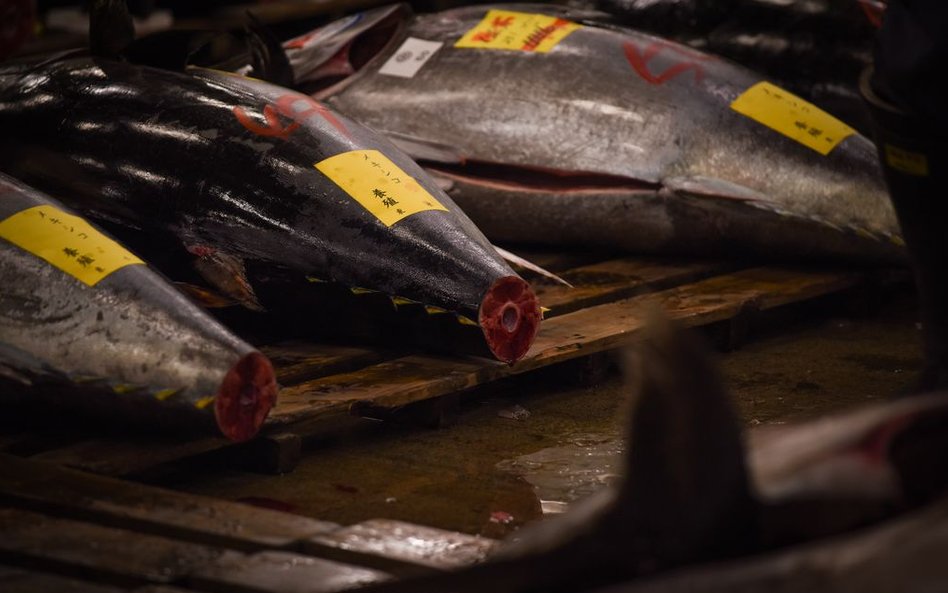 Pierwsza aukcja tuńczyków w 2017 roku na tokijskim targu Tsukiji