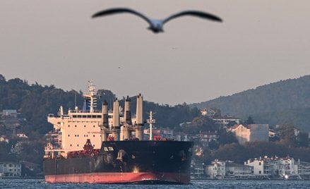 MSZ Ukrainy: Umowa zbożowa? Nie podjęliśmy żadnych nowych zobowiązań