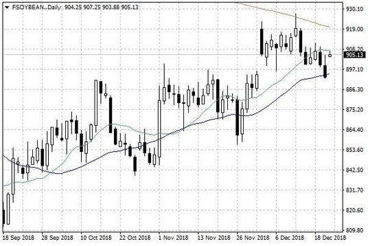 Notowania soi w USA – dane dzienne
