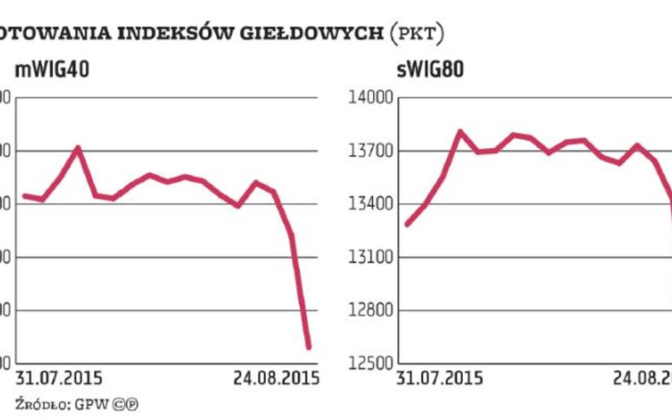 Giełdy: Mimo przeceny już teraz warto spojrzeć na „misie”