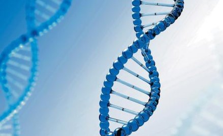 Zmuszenie do zbadania DNA nie narusza prywatności