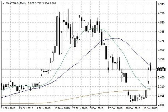 Notowania gazu ziemnego w USA – dane dzienne