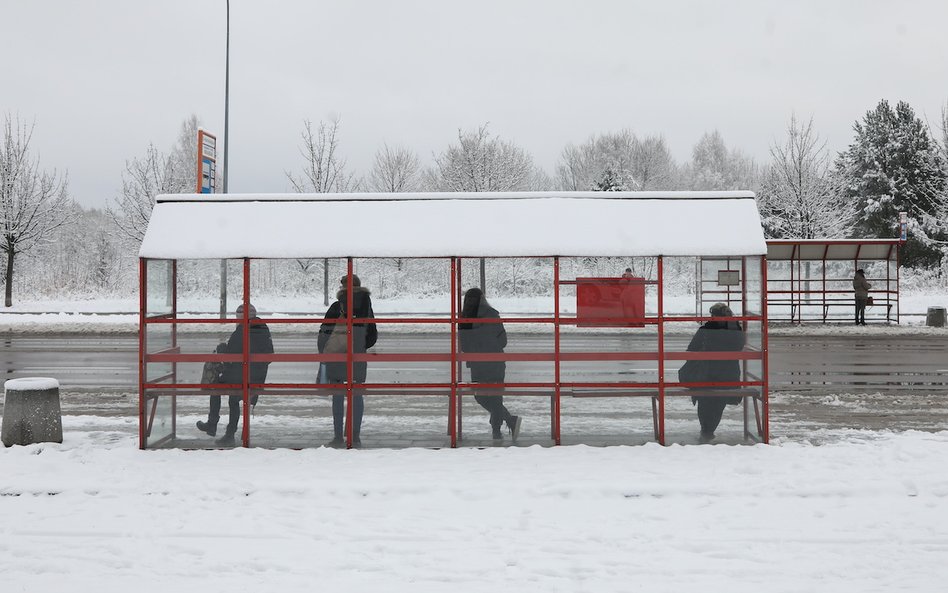 Na początku roku zima wróciła na Podlasie.