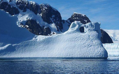 Rosjanie: Trzeba wysyłać turystów na Antarktydę