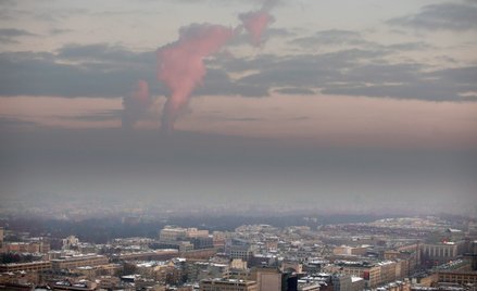Zanieczyszczenie powietrza wpływa na ukrwienie łożyska, co skutkuje niedotlenienie płodu