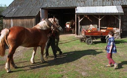Dziedziczenie gospodarstw skreślone, ale ciągle wiąże