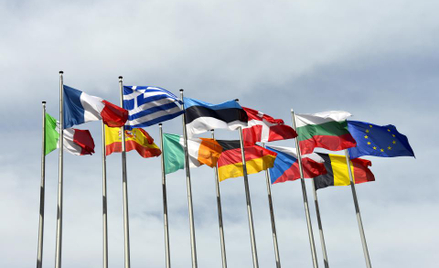 Unia Europejska jako federacja przez pomyłkę