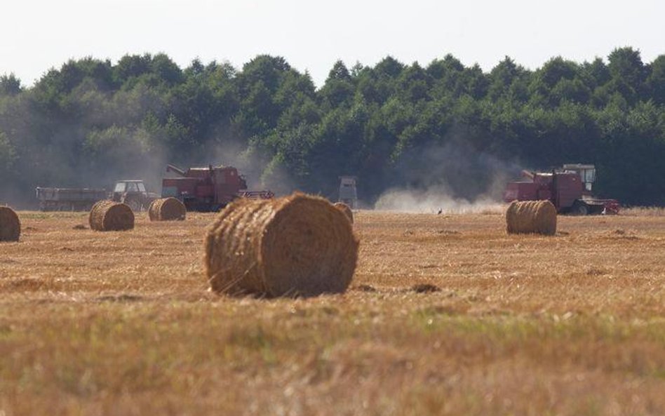 Rolnicy chętnie inwestują w ziemię