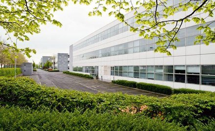 Wydatki na kwiaty i zieleń wokół firmy mogą zwiększyć koszty podatkowe