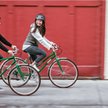 Fot: Schwinn