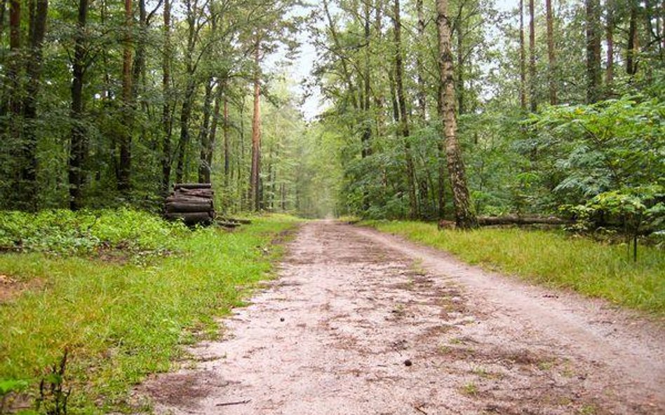 Samorządy są przeciwne zastąpieniu uzgodnień w sprawie parków narodowych opiniami