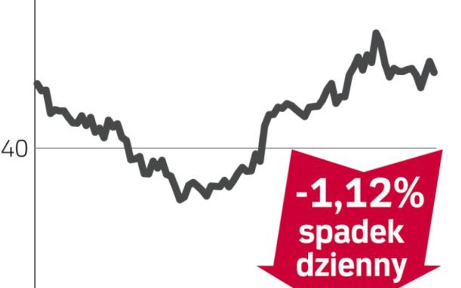 Inwestorzy ukarali Heinekena