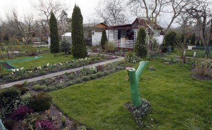 Wyrok WSA: działkowcy to nie rolnicy – zapłacą więcej za wodę