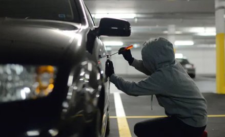 Jakie auta kradną w Niemczech