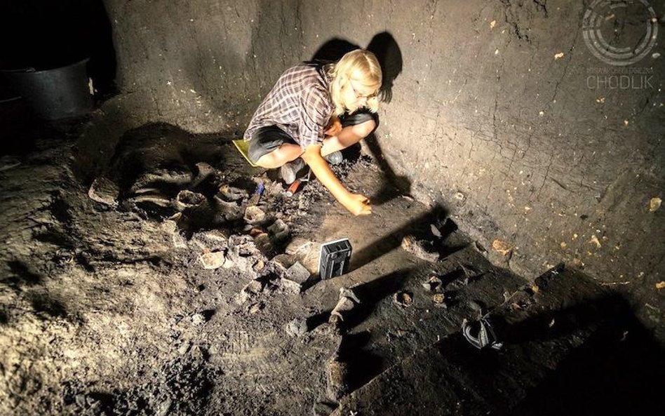 fot. Łukasz Miechowicz