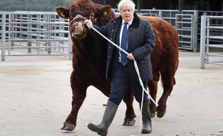Premier Boris Johnson powtarza, że nie wystąpi o odłożenie terminu rozwodu z Brukselą