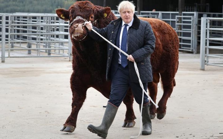 Premier Boris Johnson powtarza, że nie wystąpi o odłożenie terminu rozwodu z Brukselą