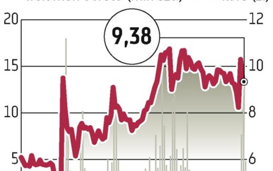 Petrolinvest: Koncesje przyznane, kurs spadł