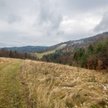 Nowa spółka na rynku nieruchomości wakacyjnych