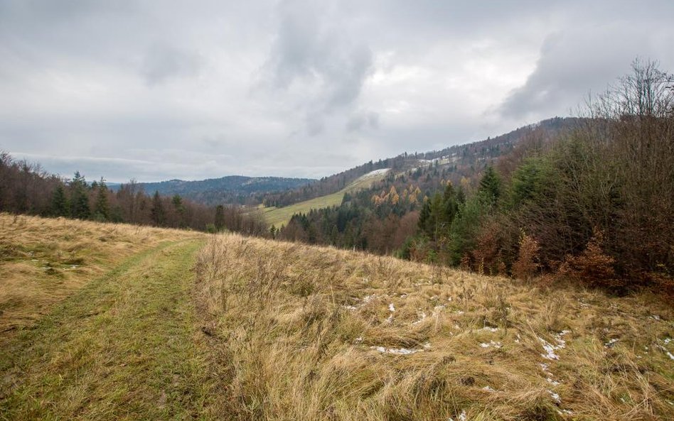 Nowa spółka na rynku nieruchomości wakacyjnych