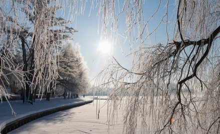 Jaka będzie zima 2024/2025? IMGW podał najnowsze prognozy
