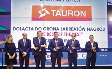 Nagroda główna w kategorii przedsiębiorstwo trafiła do Tauronu. Drugie miejsce zajął Lotos, a trzeci