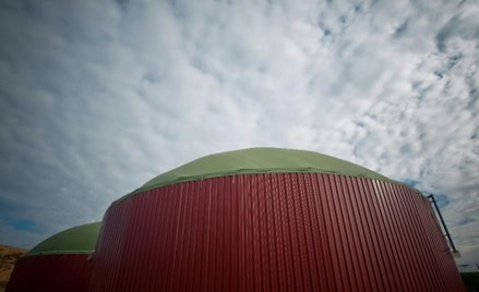 Biogazownie do przejęcia