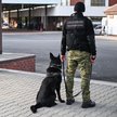 Funkcjonariusz Straży Granicznej na granicy z Białorusią