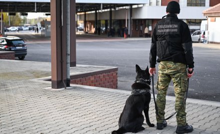 Funkcjonariusz Straży Granicznej na granicy z Białorusią