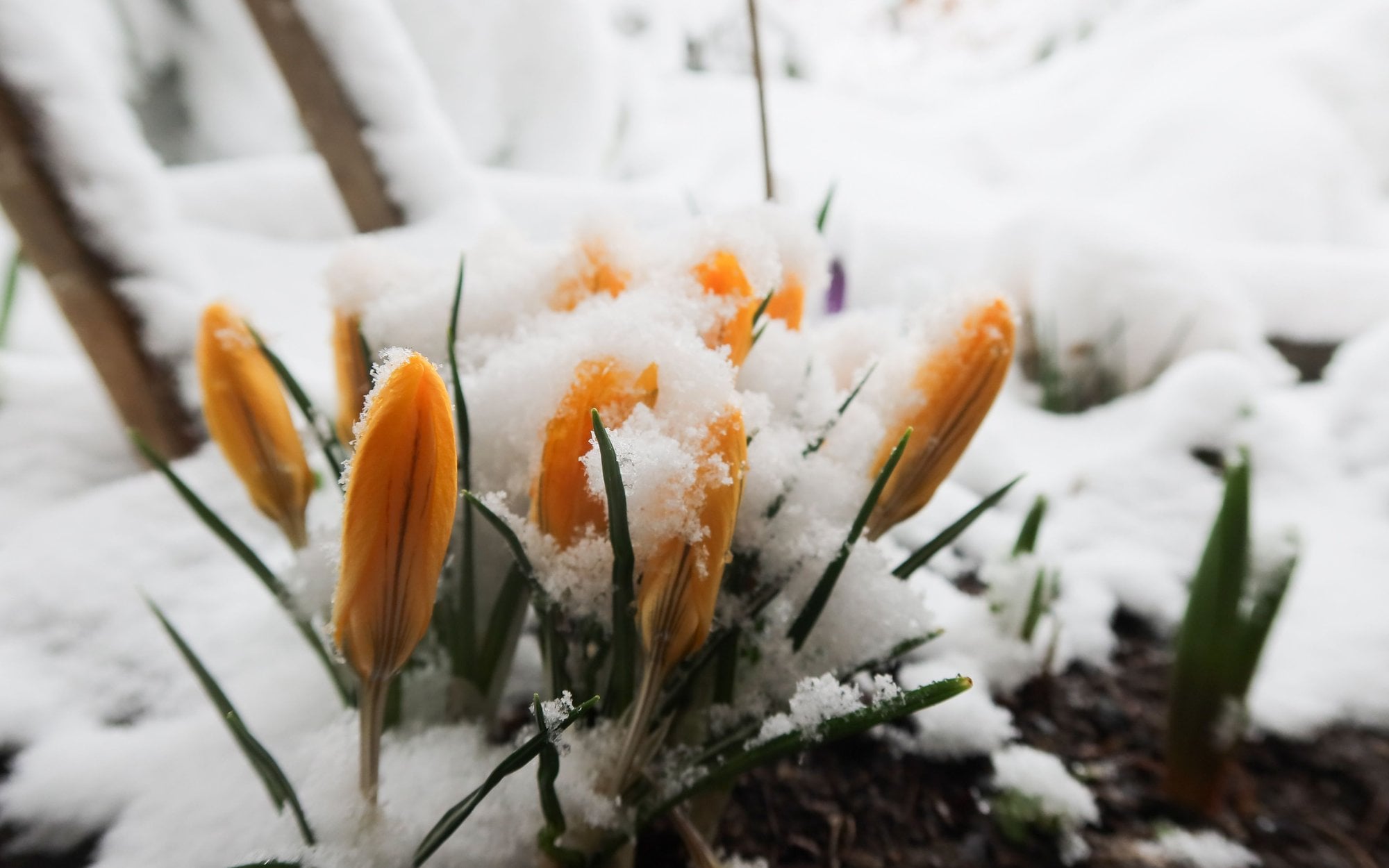 Ostrzeżenie przed śniegiem, a potem zmiana pogody. Przyniesie ją antycyklon