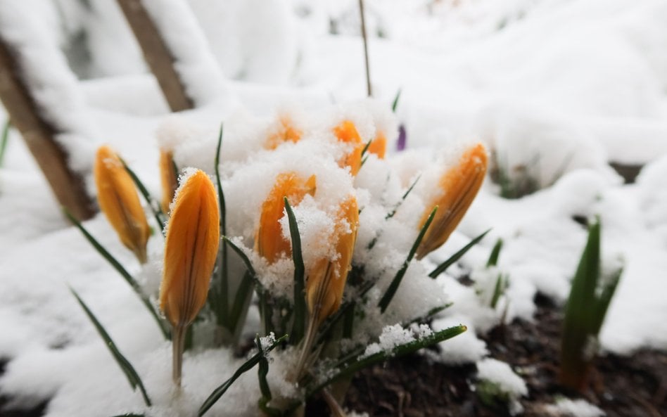W Zakopanem spadł śnieg, ale na horyzoncie jest już ocieplenie