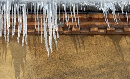 Sople atakują Rosję