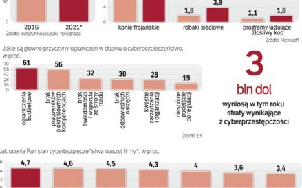 Cyberataków będzie w Polsce coraz więcej