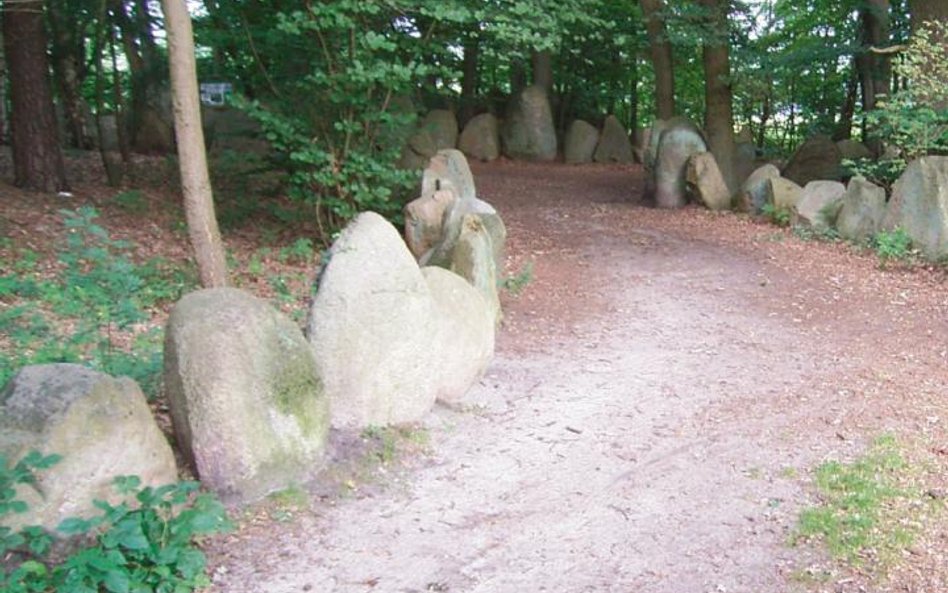 Kamienne stele wzdłuż ścieżki w Sachsenhain. Na rozkaz Himmlera ustawiono ich 4,5 tys.