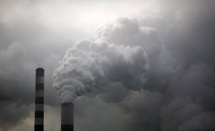 Nowa polityka klimatyczna