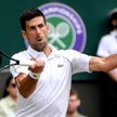 Wimbledon. Zwykły dzień w biurze Novaka Djokovicia