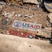 Elon Musk nazwał USAID "organizacją kryminalną"