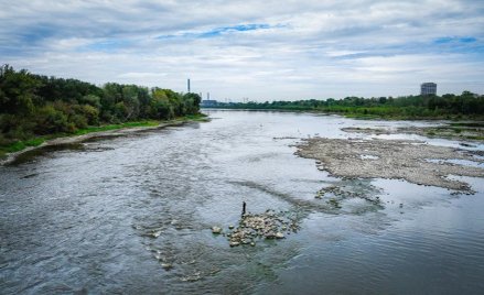 Susza hydrologiczna w Warszawie