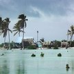 Na zachodnim Pacyfiku poziom wód podnosi się szybciej niż w innych częściach świata. Fot. Pacific Cu