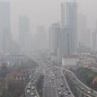 Konstrukcja z mchem pochłaniającym smog najlepszym pomysłem Smogathonu