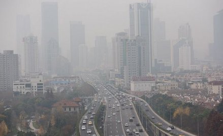 Konstrukcja z mchem pochłaniającym smog najlepszym pomysłem Smogathonu