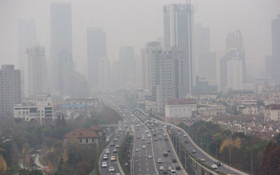 Konstrukcja z mchem pochłaniającym smog najlepszym pomysłem Smogathonu